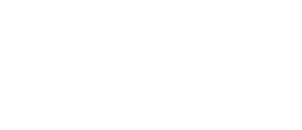 North Carolina Rockers Fastpitch